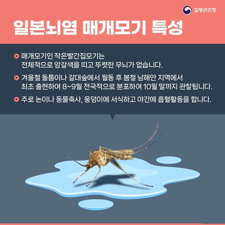 전남도, 일본뇌염 경보…예방접종 등 당부