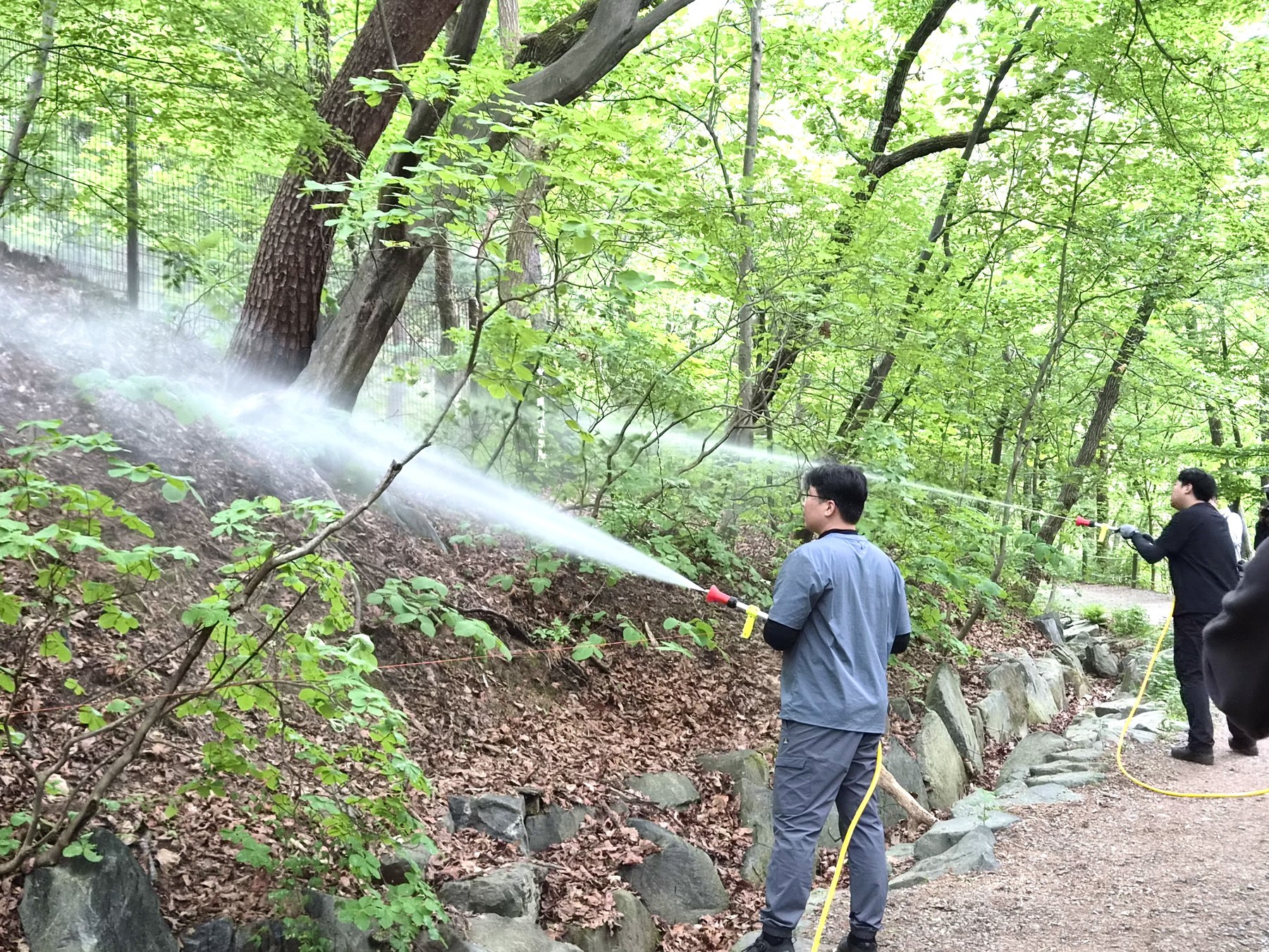 서울시가 살수드론을 활용해 러브버그 친환경 방제에 나서고 있다